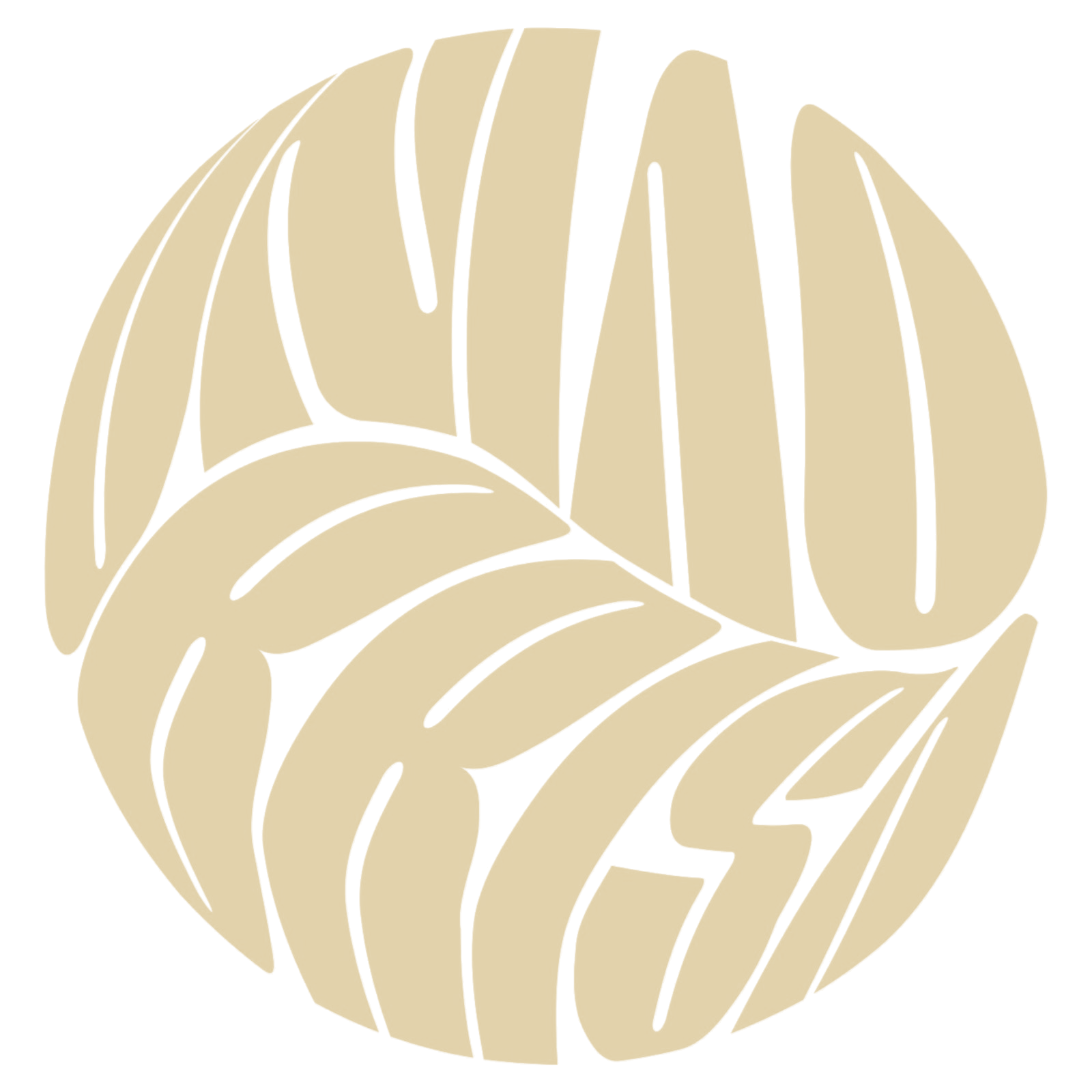 União Brisa