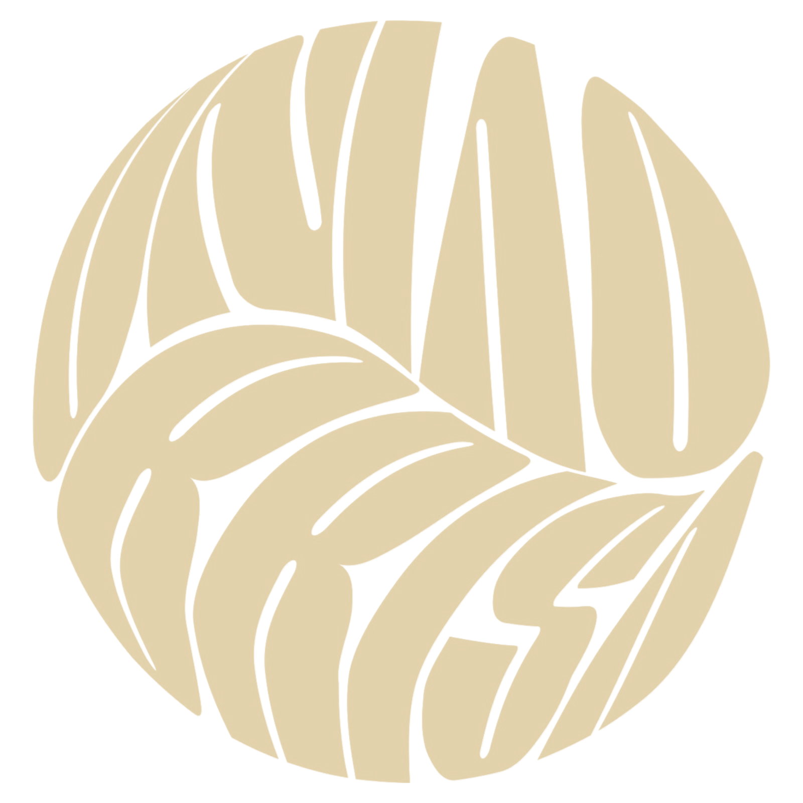 União Brisa
